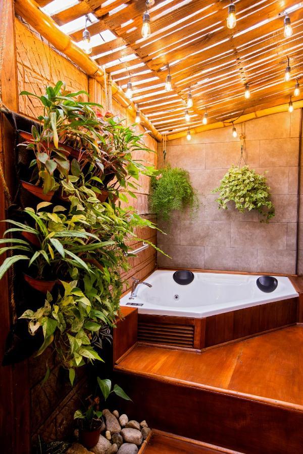 Casa Suculenta ,Monteverde Con Jacuzzi Privado Y Lavanderia 아파트 외부 사진